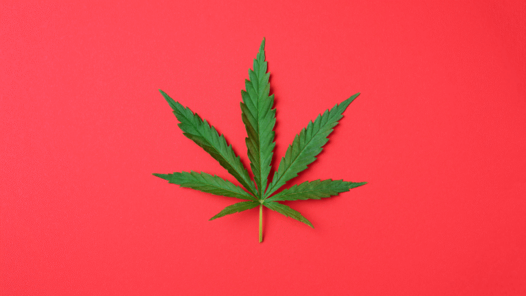 tokethemost - cannabis dispensary - buy edibles tokethemost - cannabis dispensary - buy edibles