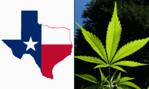 Texas Governor Orders Increased Enforcement Against Hemp Product Violations